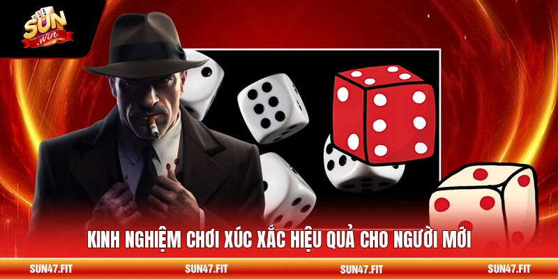 Kinh nghiệm chơi xúc xắc hiệu quả cho người mới